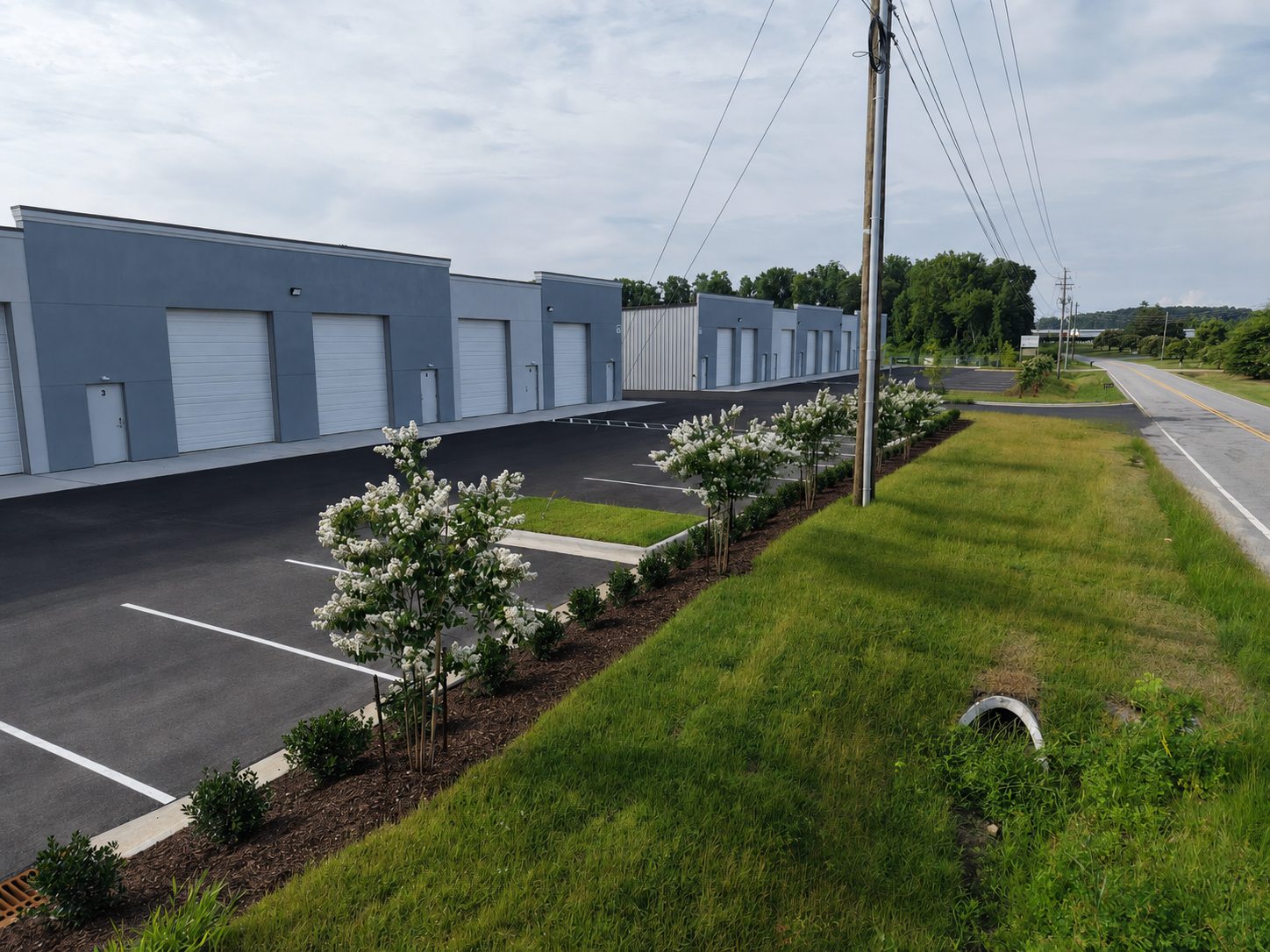 Ground-level view along a Reedy Branch Flex Park building, showing the row of drive-in overhead doors, new paving, and landscaping toward Reedy Branch Road